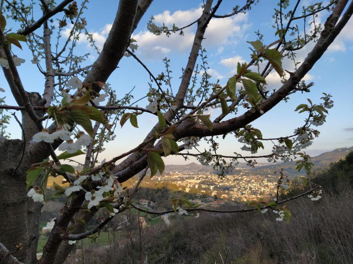 Gasthaus Mimi E Coco Country House Ascoli Piceno Exterior foto